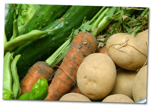 野菜は、すべて自家農園で育てた自家製